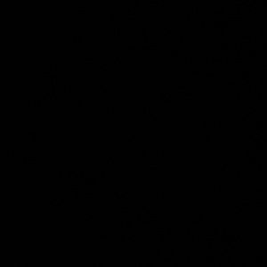 Meet your Posher, Travis